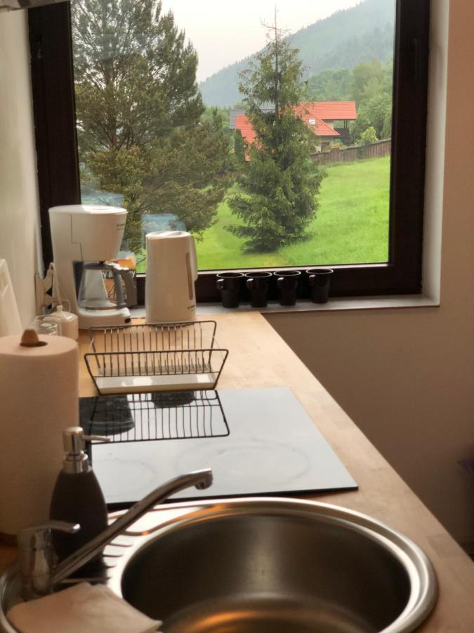 Poncyljuszowka Apartment Щирк Екстериор снимка
