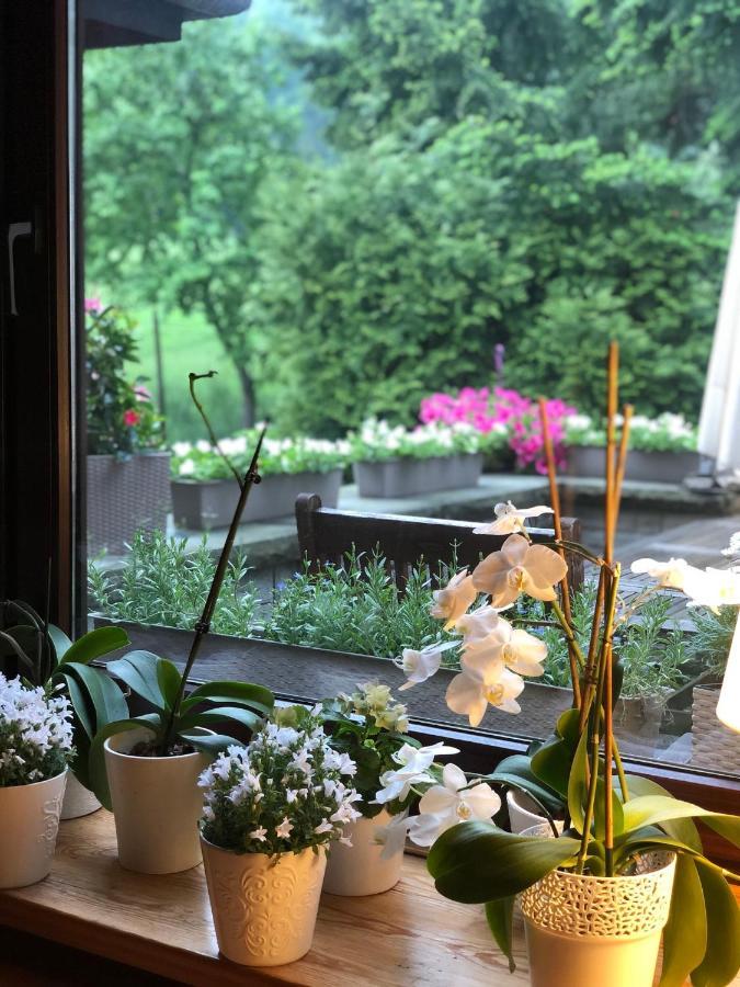 Poncyljuszowka Apartment Щирк Екстериор снимка