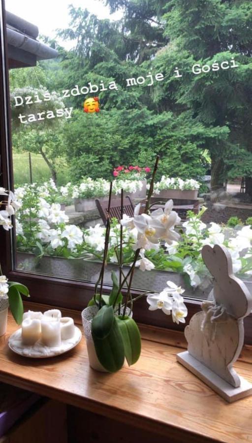 Poncyljuszowka Apartment Щирк Екстериор снимка