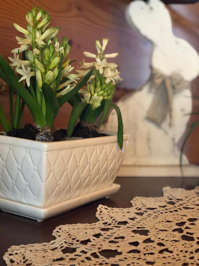 Poncyljuszowka Apartment Щирк Екстериор снимка