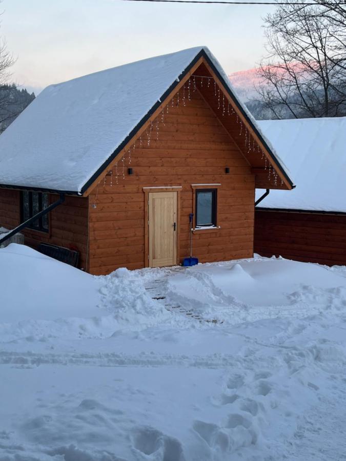 Poncyljuszowka Apartment Щирк Екстериор снимка